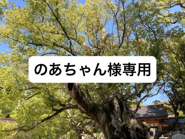 リサラーソン エコバッグ Lサイズ トートバッグ ブラック