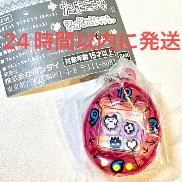 新品未使用☆たまごっち シャカシャカチャームコレクション クリアピンク まめっち 元祖 初代 ガチャ ガシャポン 完売レア