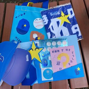わくわくギフト 横浜ベイスターズ