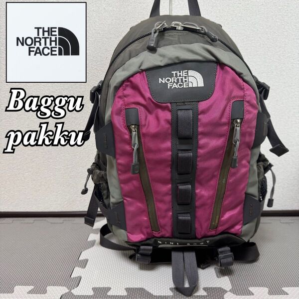 THE NORTH FACE ノースフェイス バックパック リュックサック 海外限定 グレー ピンク 12L