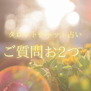 タロットチャット占い ご質問お2つ