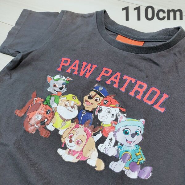 パウパトロール Tシャツ 110cm 半袖 グレー 男の子 女の子 100cm 夏