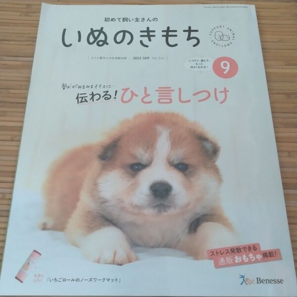 いぬのきもち 1冊