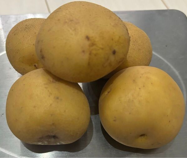 宮崎県産、新じゃがキタアカリ1kg