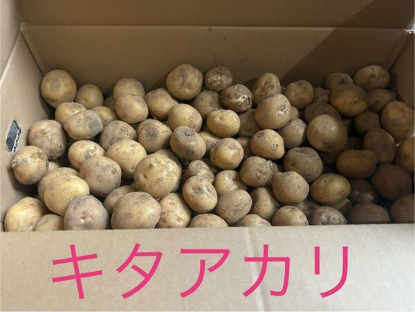 宮崎県産、新じゃがキタアカリ10kg