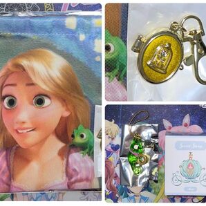 ディズニー ディズニーストア シークレット まとめ売り