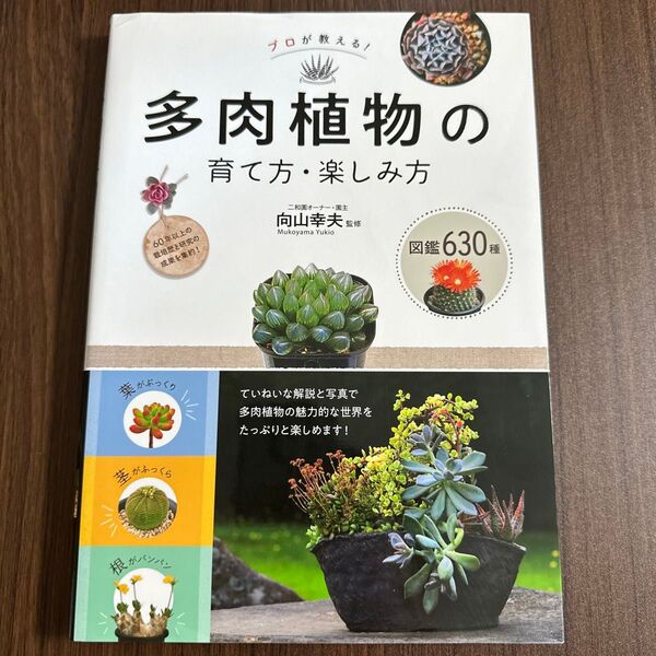 プロが教える!多肉植物の育て方・楽しみ方 図鑑630種 (プロが教える!) 向山幸夫/監修