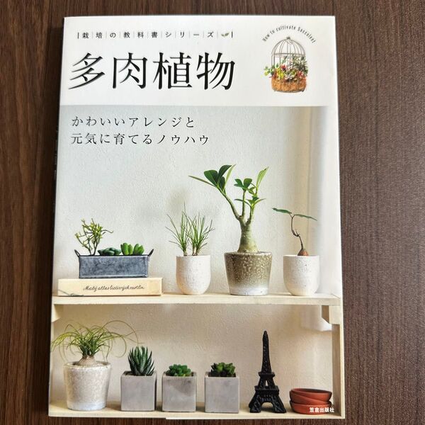 多肉植物 かわいいアレンジと元気に育てるノウハウ