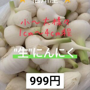 "生"にんにく 宅急便コンパクト 800g〜900g 長野県産 信州 産地直送