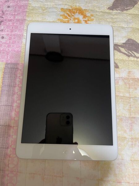 ipad mini2 16gb