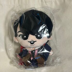 Snow Man Snow World すのチルぶら下がらないシリーズ BIGぬいぐるみver. 宮舘涼太