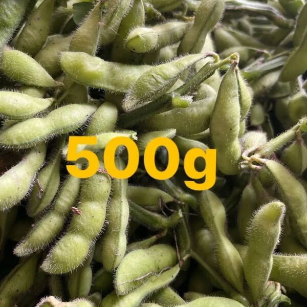枝豆500g