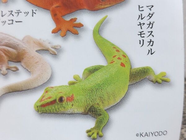 ヤモリ大全2 クレステッドゲッコー マダガスカルヒルヤモリ カプセルQミュージアム 海洋堂 未開封