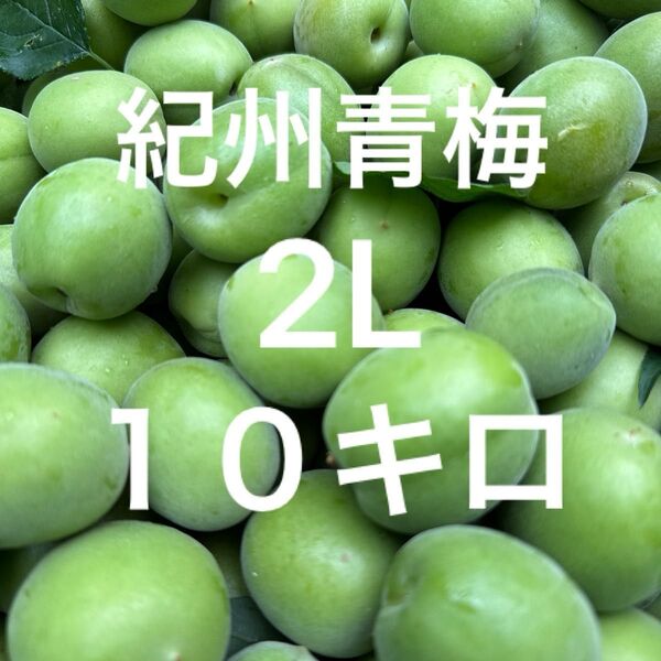 紀州青梅 和歌山 2Lサイズ 10キロ