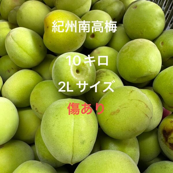 紀州南高梅 2Lサイズ 10キロ 傷あり