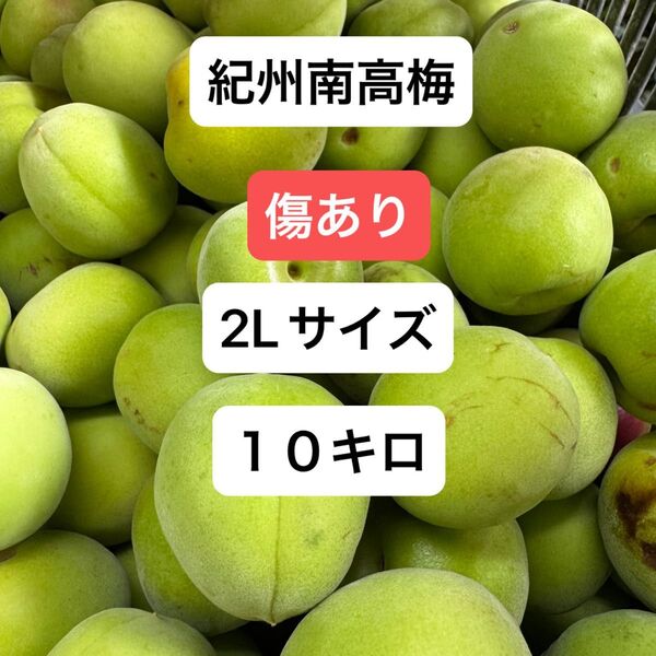 紀州南高梅 傷あり 2Lサイズ 10キロ