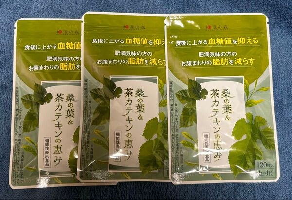 和漢の森 桑の葉 茶カテキン 120粒 国産お腹の脂肪を減らす ×3袋 ①