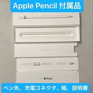 Apple Pencil 第1世代の付属品(ペン先、コネクタ、箱、説明書)セット tips