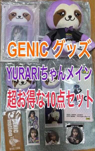 GENIC ANIMAL COORDY ぬいぐるみ ジェニック YURARI 宇井優良梨 ヘアゴム カードホルダー キーホルダー