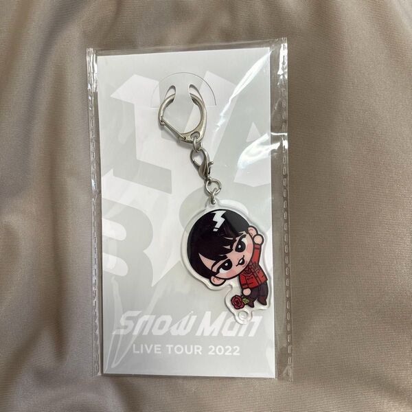 ★Snow Man すのチルぶら下がりシリーズ アクリルキーホルダーver. 宮舘涼太