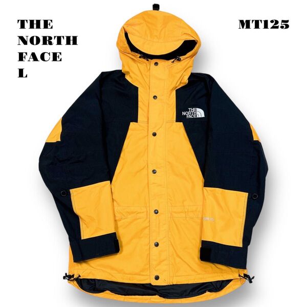 ★限定出品★ THE NORTH FACE GORE-TEX NP-2190 L