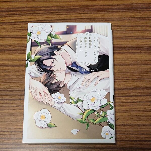 BL小説 エリートアルファの旦那様は孤独なオメガを手放さない (&arche NOVELS) 小鳥遊ゆう/〔著〕