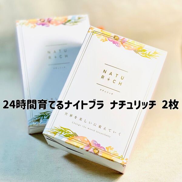 ナイトブラ ブラジャー 育乳ブラ 補正下着 バストアップ ノンワイヤー ナチュリッチ 2枚