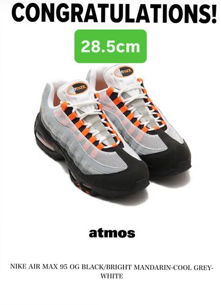 Nike Air Max 95 OG Big Bubble 28.5cm