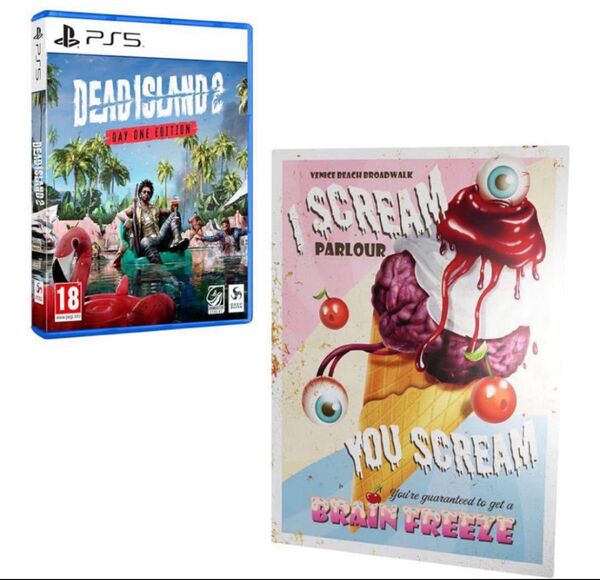 Dead Island 2 デッドアイランド2 ps5 プレート付
