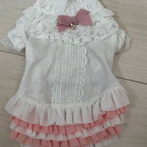 グラマーイズムセレーナSS犬服ペットウェア ペット用品 夏 春 犬服 ドッグウェア接触冷感