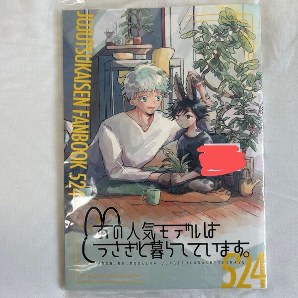 呪術廻戦 同人誌
