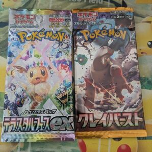 テラスタルフェスex クレイバースト ポケモンカード 拡張パック ①
