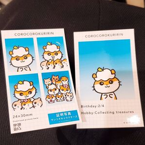 サンリオキャラクターズ 証明写真風スマロイド コロコロクリリン
