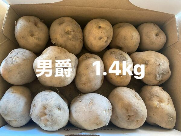 じゃがいも 男爵 1.4kg