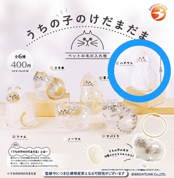 うちの子のけだまだま ペットの毛の入れ物 ハチワレ ガチャ