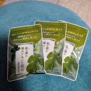 桑の葉&茶カテキンの恵み 120粒×3袋セット