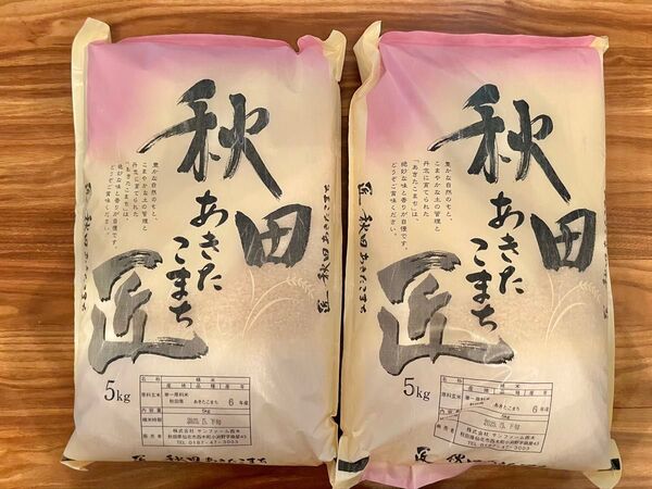 【あきたこまち】5kg×2袋セット 秋田県産 計10キロ 精米2025年5月下旬