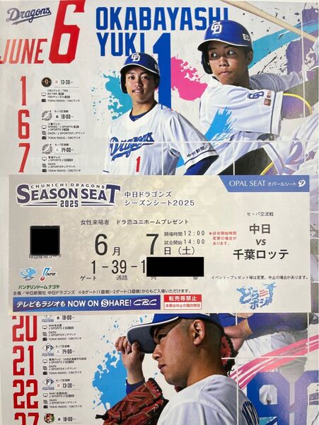 中日ドラゴンズ主催 バンテリンドームナゴヤ 内野B 3塁側 6/7(土) 対千葉ロッテマリーンズ戦 1席