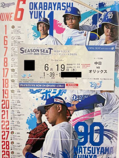 中日ドラゴンズ主催 バンテリンドームナゴヤ 6/19 (木)対オリックスバファローズ 内野B 3塁側 1席