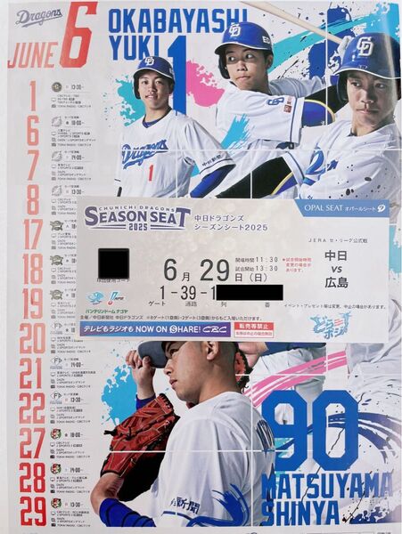 中日ドラゴンズ主催 バンテリンドームナゴヤ 6/29 (日) 対広島東洋カープ戦 内野B 3塁側 1席 スタンダードゲーム
