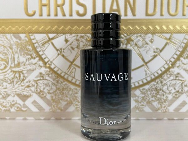 Dior ソヴァージュ オードトワレ