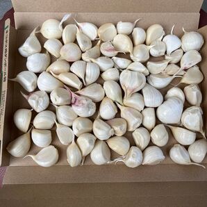 福地ホワイト6片 バラ900g