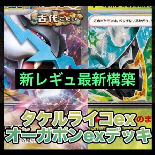構築済みデッキ ポケモンカードゲーム ジムバトル シティリーグ 優勝デッキ ライコポン タケルライコexデッキ オーガポンex