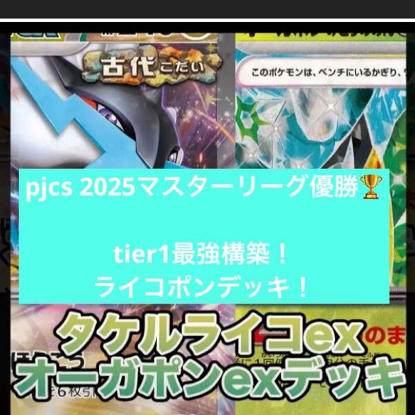 構築済みデッキ ポケモンカードゲーム ジムバトル シティリーグ 優勝デッキ ライコポンデッキ pjcs2025優勝