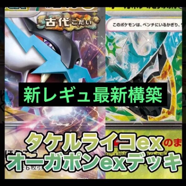 構築済みデッキ ポケモンカードゲーム シティリーグ 優勝デッキ ライコポンデッキ pjcs2025 参考 タケルライコexデッキ