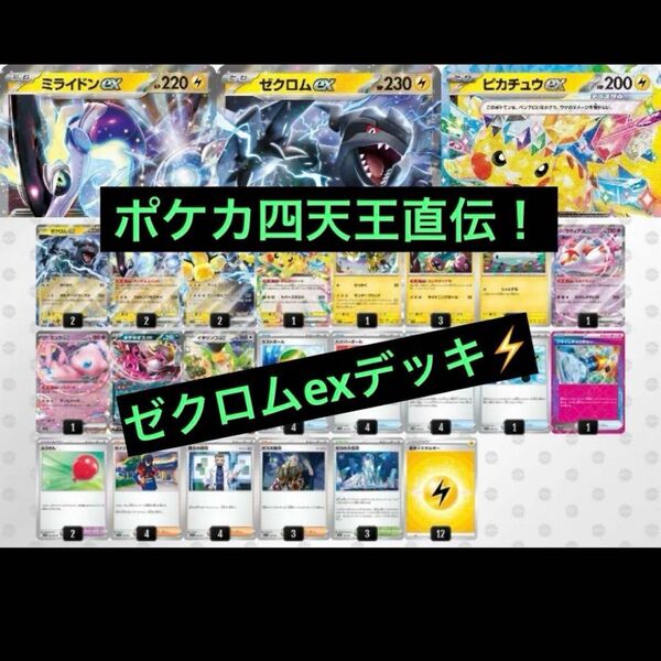 構築済みデッキ ポケモンカードゲーム ジムバトル シティリーグ 優勝デッキ ゼクロムexデッキ ミライドンexデッキ ポケカ四天王