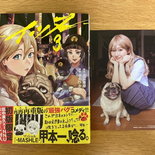 【初版限定特典付】INNU イッヌ 3巻 大沼隆揮 小丸ひかり ヤンマガKC【初版帯付】
