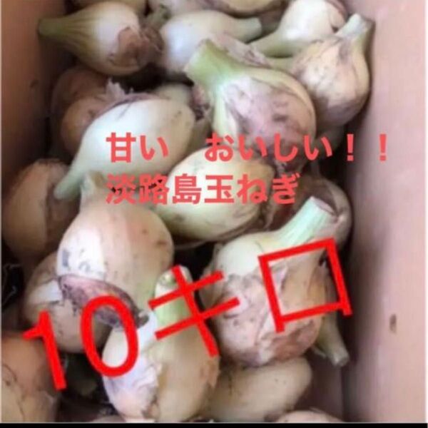 玉ねぎ 淡路島 玉ねぎ 格安 訳あり 淡路島産 たまねぎ 10キロ 減農薬