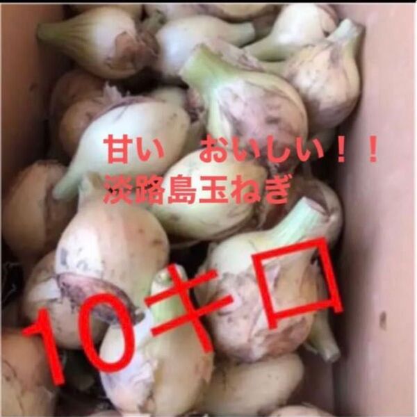 玉ねぎ 淡路島 玉ねぎ 格安 訳あり 淡路島産 たまねぎ 10キロ 減農薬