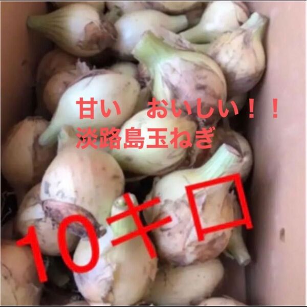 玉ねぎ 淡路島 玉ねぎ 格安 訳あり 淡路島産 たまねぎ 10キロ 減農薬